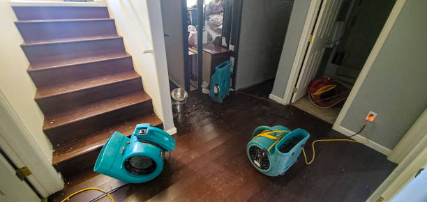 Best Water damage restoration specialists  in Mansfield, LA
