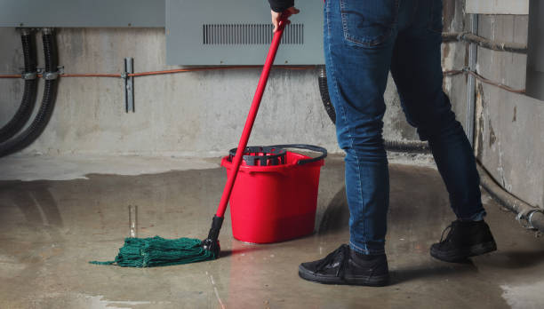 Best Flooded house restoration  in Mansfield, LA