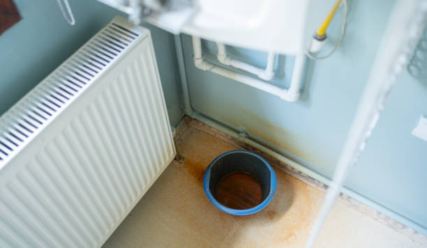 Best Flood damage cleanup  in Mansfield, LA