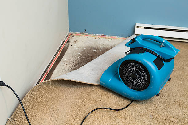 Local water damage restoration in LA